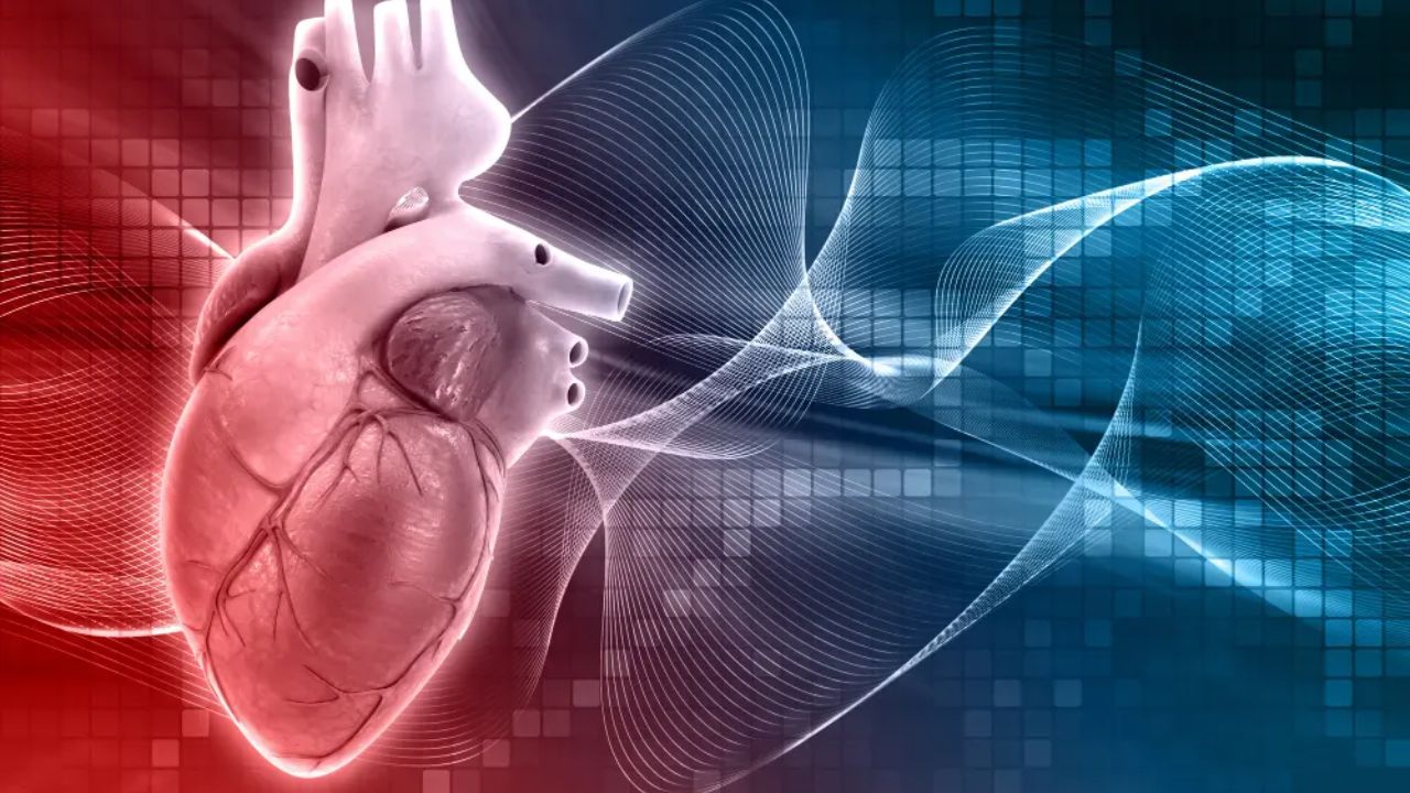 Una resonancia magnética del corazón