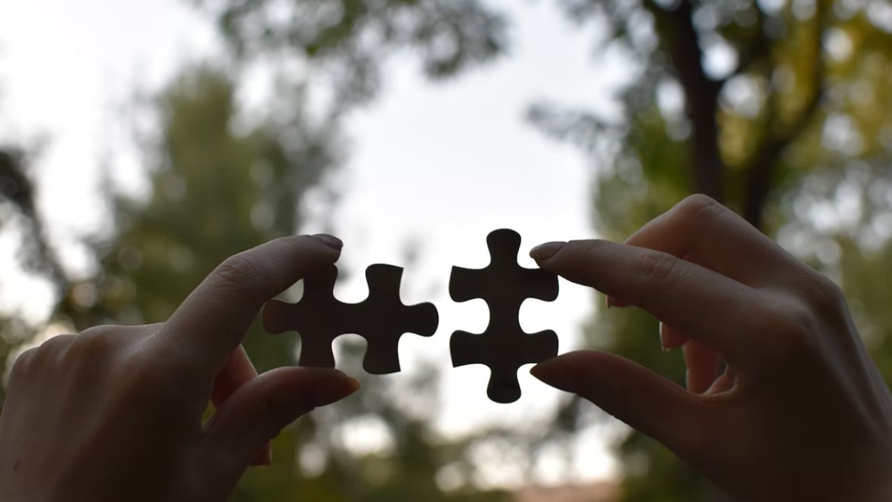 Diversidad y unidad
